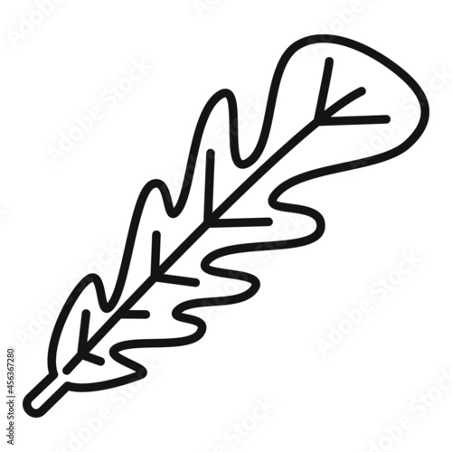 Cooking rucola icon outline vector. Arugula vegetable