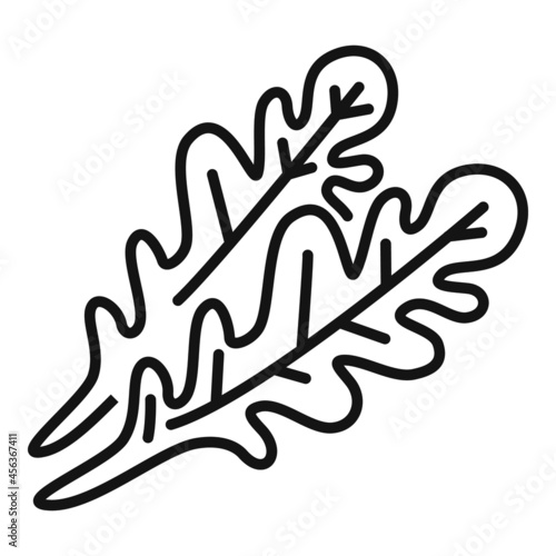 Ruccola leaf icon outline vector. Arugula salad
