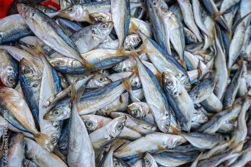 Quy Nhon fish market, Binh Dinh, Vietnam