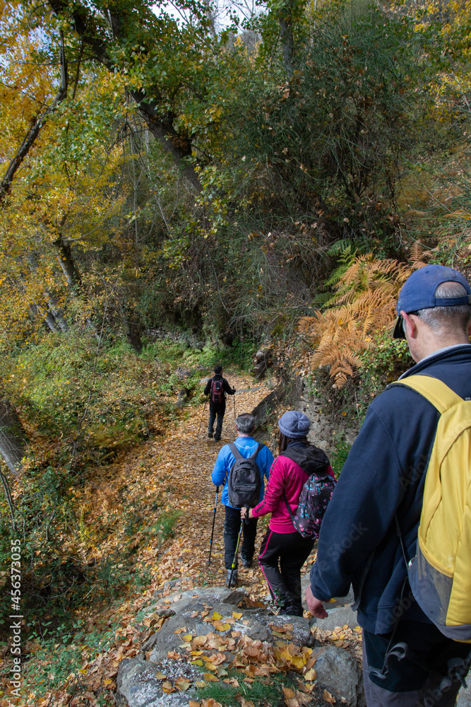 Group of hikers going down a path with trees and the ground full of ocher leaves during the tour of the villages of La Taha in the Alpujarra in autumn Group of hikers going down a path with trees and the ground full of ocher leaves during the tour of the villages of La Taha in the Alpujarra in autumn