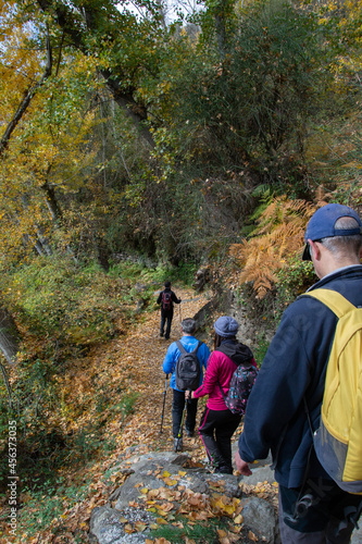 Group of hikers going down a path with trees and the ground full of ocher leaves during the tour of the villages of La Taha in the Alpujarra in autumn