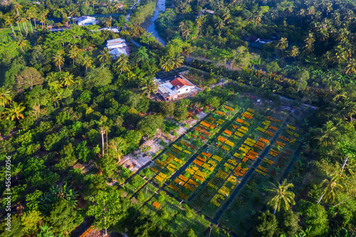 Aerial view of Cai Mon flower village, Ben Tre, Vietnam
