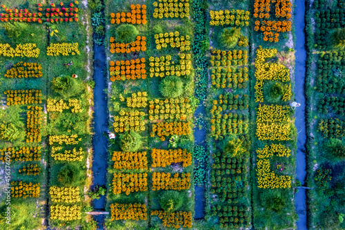 Aerial view of Cai Mon flower village, Ben Tre, Vietnam