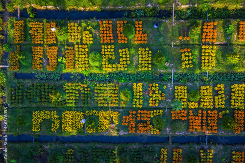 Aerial view of Cai Mon flower village, Ben Tre, Vietnam