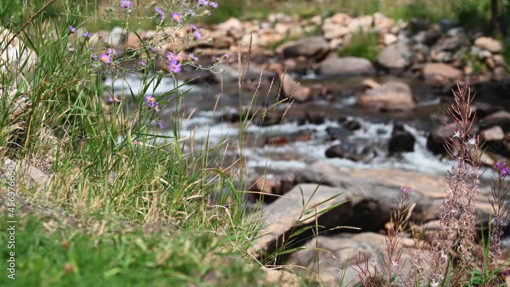 Fall River in Estes Park - soft focus Fall River in Estes Park - soft focus
