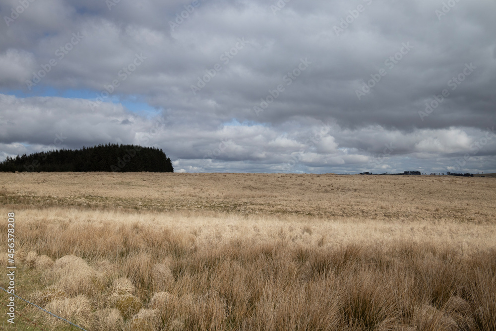 Fototapeta premium clouds over the field