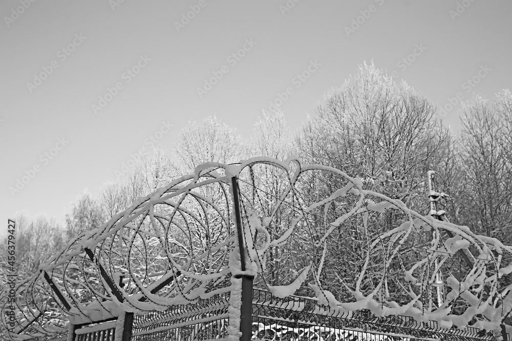 Fototapeta premium barbed wire winter object, abstract background crime guard