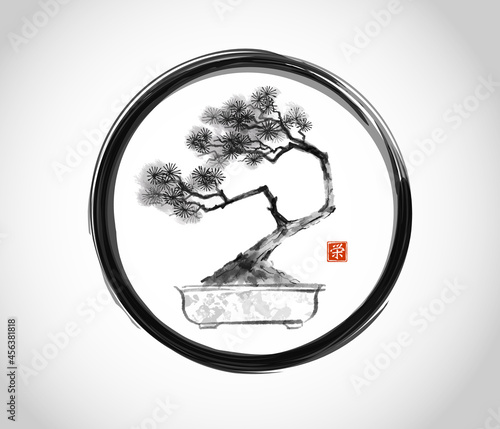 Bonsai pine tree in black enso zen circle. Traditional oriental ink painting sumi-e, u-sin, go-hua. Hieroglyph - prosperity