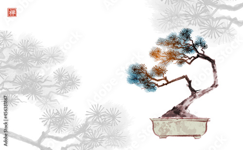 Bonsai pine tree hand drawn with ink. Traditional oriental ink painting sumi-e, u-sin, go-hua. Hieroglyph - zen