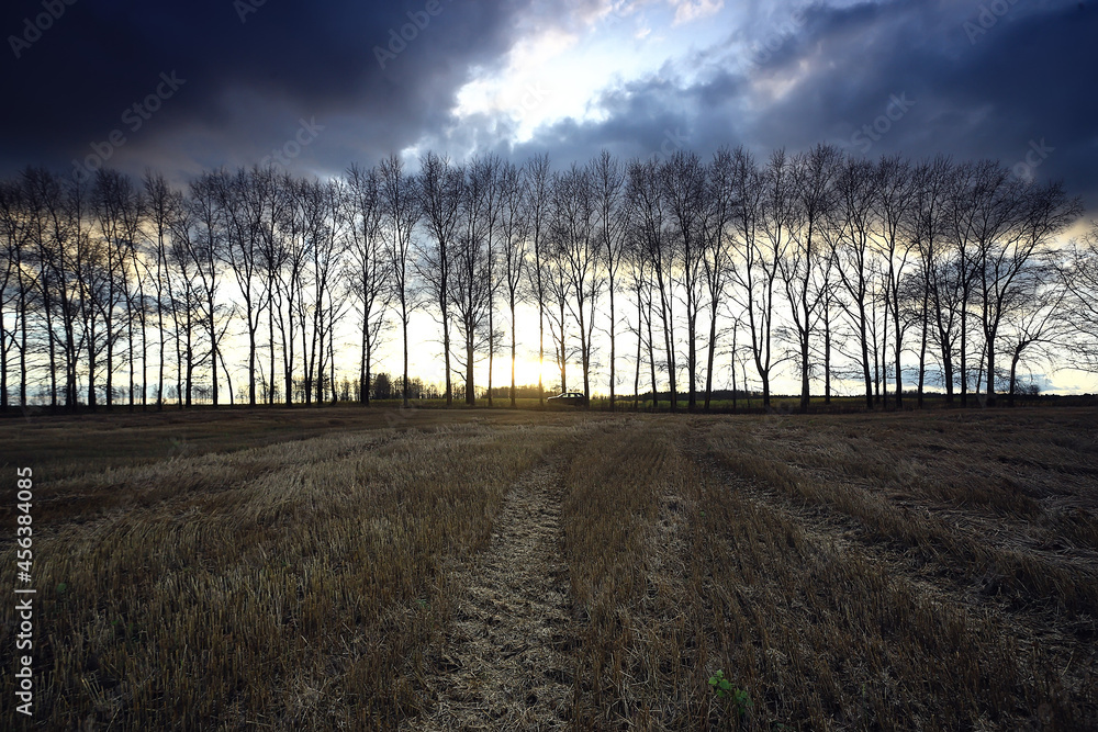 dramatic autumn landscape field sky abstract concept sadness