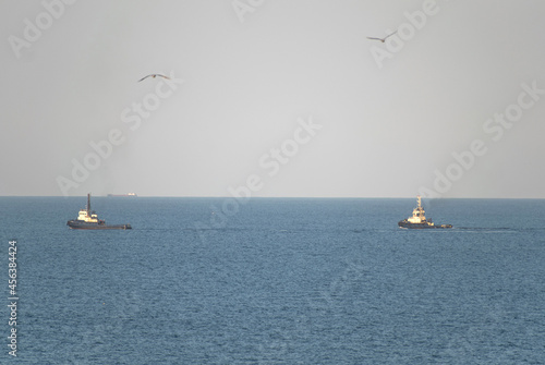 Two industrial fishing boats on the sea, in the distance. Two seagulls in flight.