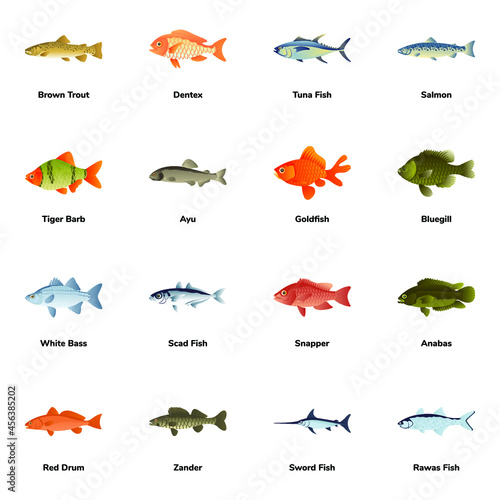 Flat Icons of Fish Types

 photo