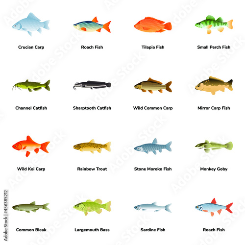 Flat Icons of Fish Types

