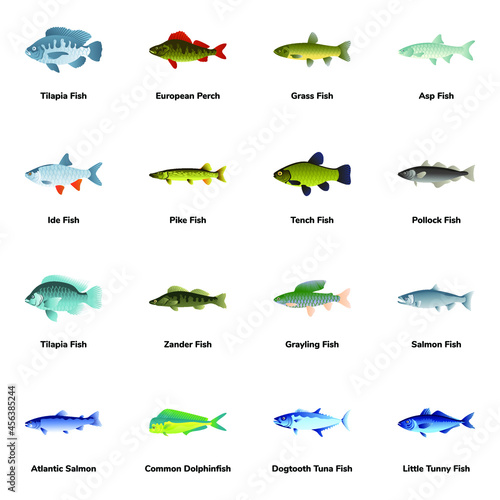 Flat Icons of Fish Types


