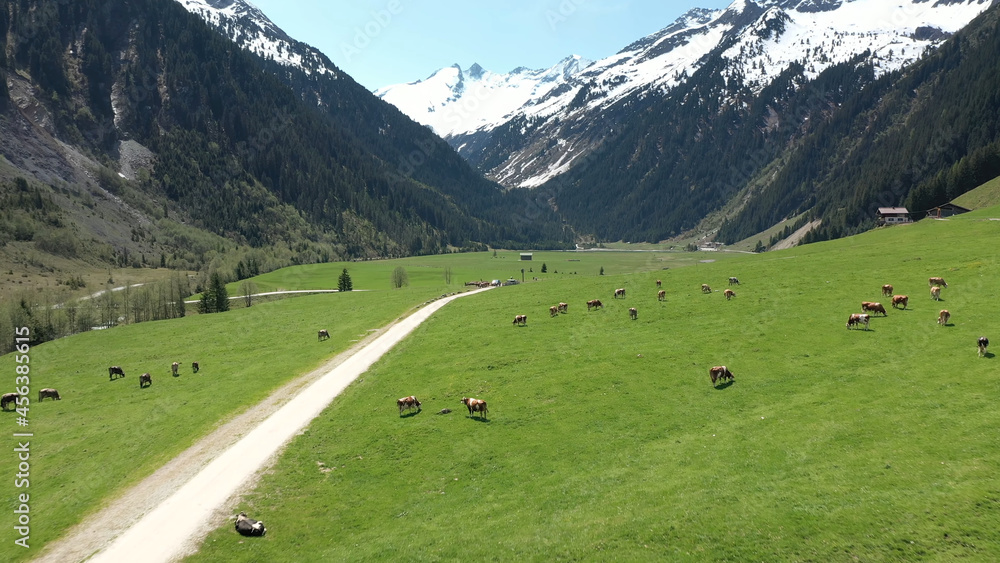 The beautiful nature of Austria The beautiful nature of Austria