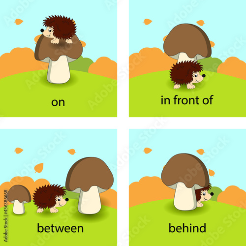 collection of english prepositions with hedgehog and mushroom photo