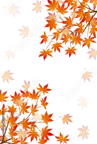 Wallpaper Mural 秋の紅葉イメージの背景素材 Torontodigital.ca