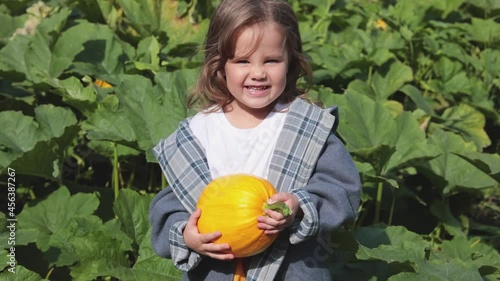 Cheerful girl with a yellow pumpkin on a farm field. Children are getting ready for Halloween. Horizontal video with people.