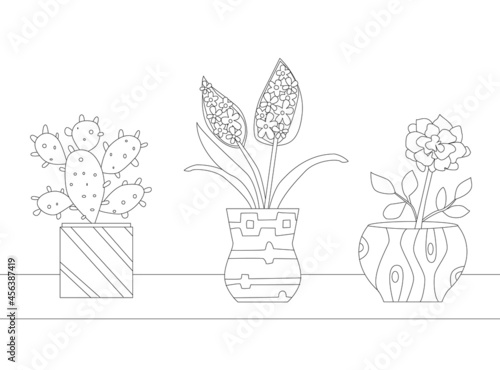 collection growing homeplants in cute ornament flowerpots for yo
