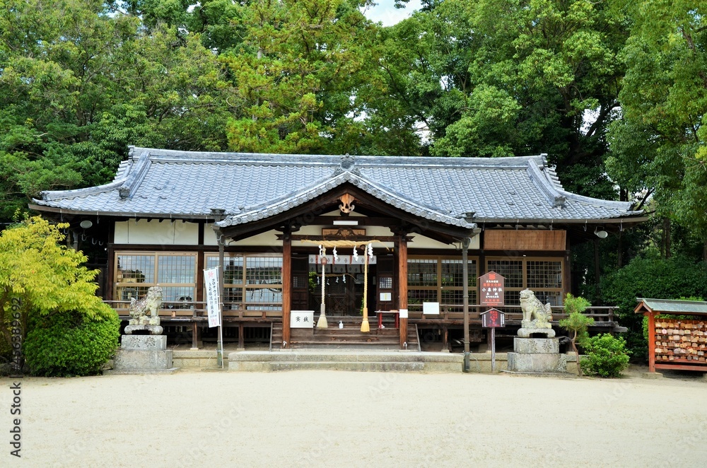 Obraz premium 小泉神社