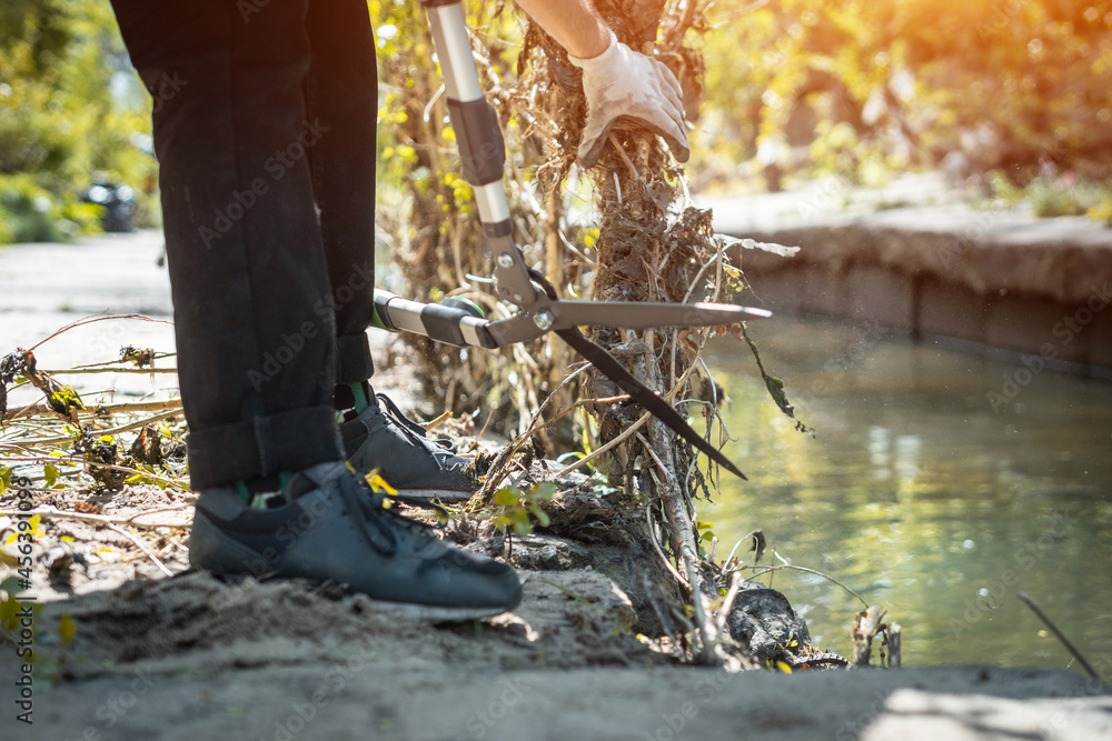 Obraz premium male hands cut branch with garden scissors near river or cleaning city park