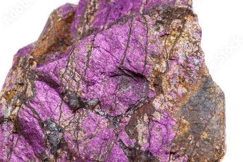 Macro mineral stone purpureus, (purple) purpurite in the breed a white background photo