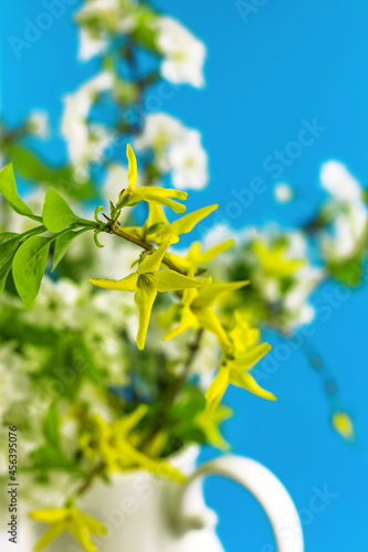 Bouquet of blossoming yellow and white spring flowers in vase on bright blue paper background. Close up. Selective soft focus. Shallow depth of field. Text copy space.