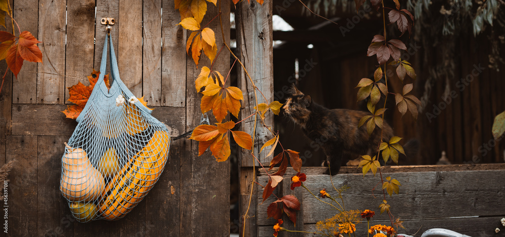 Naklejka premium String shopping bag with autumn harvest hanging on old rustic wooden door