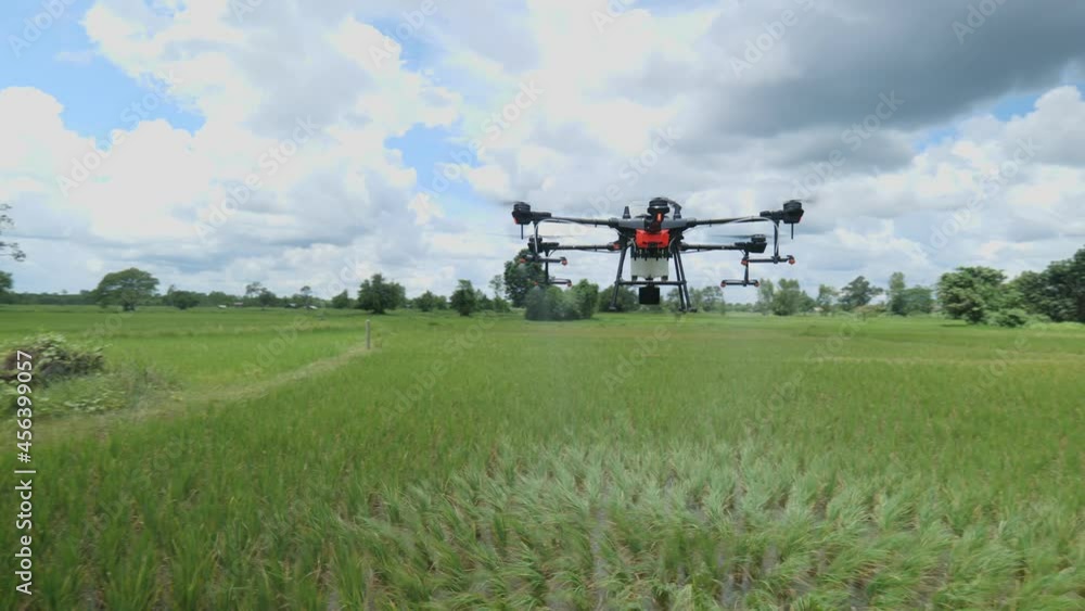Farmer technicians control agriculture drone fly to sprayed fertilizer on the green rice field smart farm. Agricultural technology concept. Farmer technicians control agriculture drone fly to sprayed fertilizer on the green rice field smart farm. Agricultural technology concept.