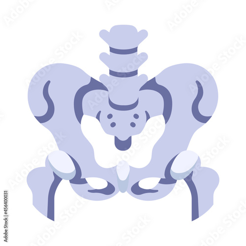 waist bone icon