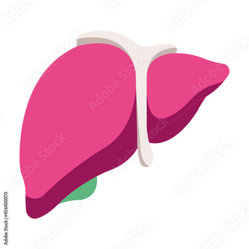 liver icon