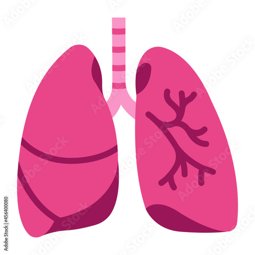 lung icon