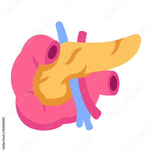 pancreas icon
