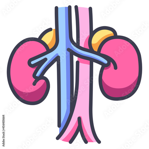 kidneys icon