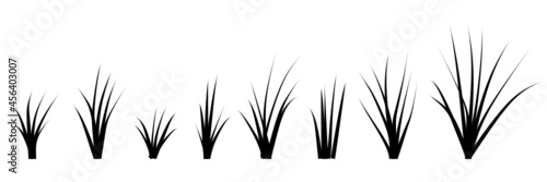 Grass silhouettes svg vector illustration. Each blade of grass in a bunch is isolated 