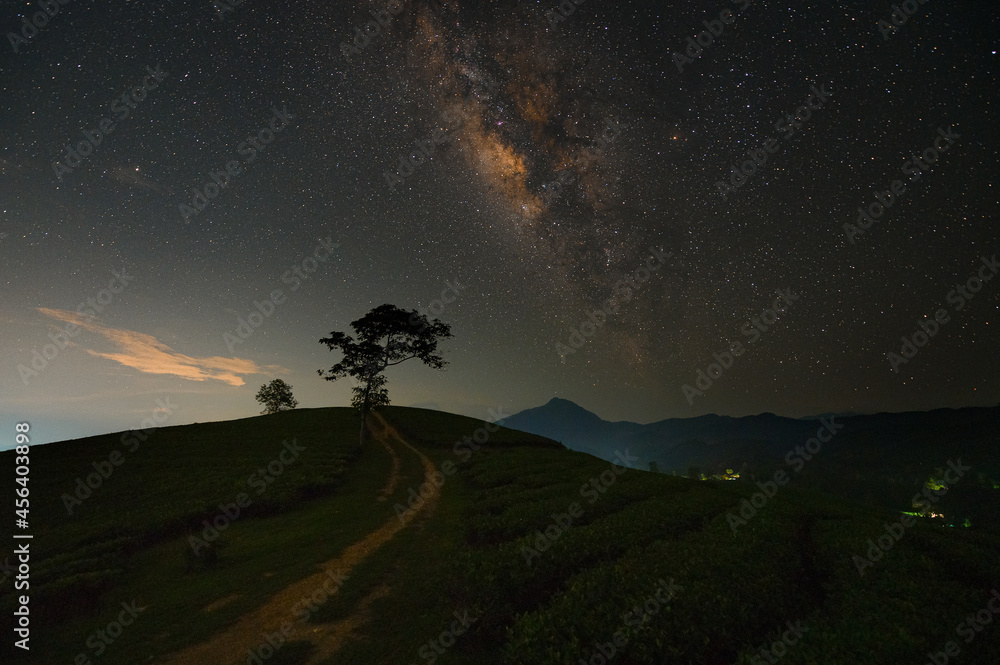 Tea hill with Milky Way