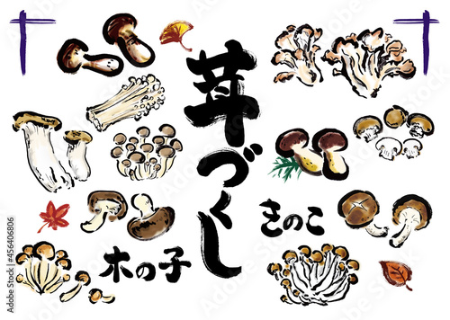 茸づくし　いろんなきのこの手描きイラストセット