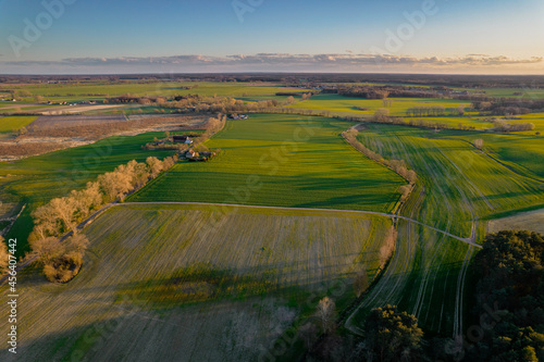 Drone photo of the bright green wheat field separated by the road. There is a tree by the road. aerial view. beautiful minimalist wallpaper © Andrzej Wilusz