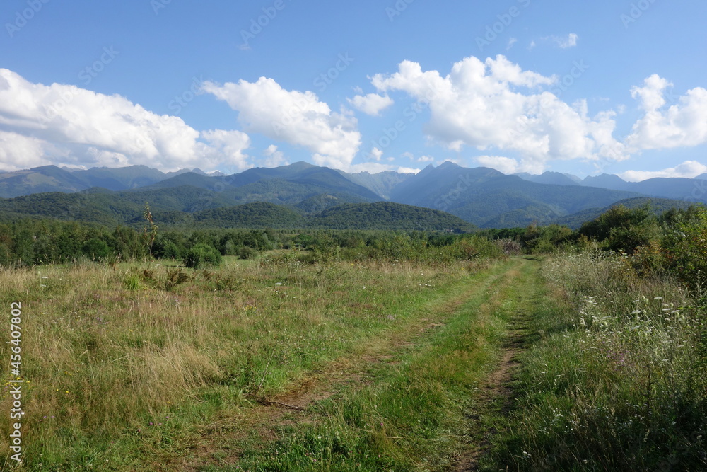 Part of Fagaras Mountains range viewed from their north in Transylvania in Romania and treaded path over grassland with wild flowers, bushes and trees