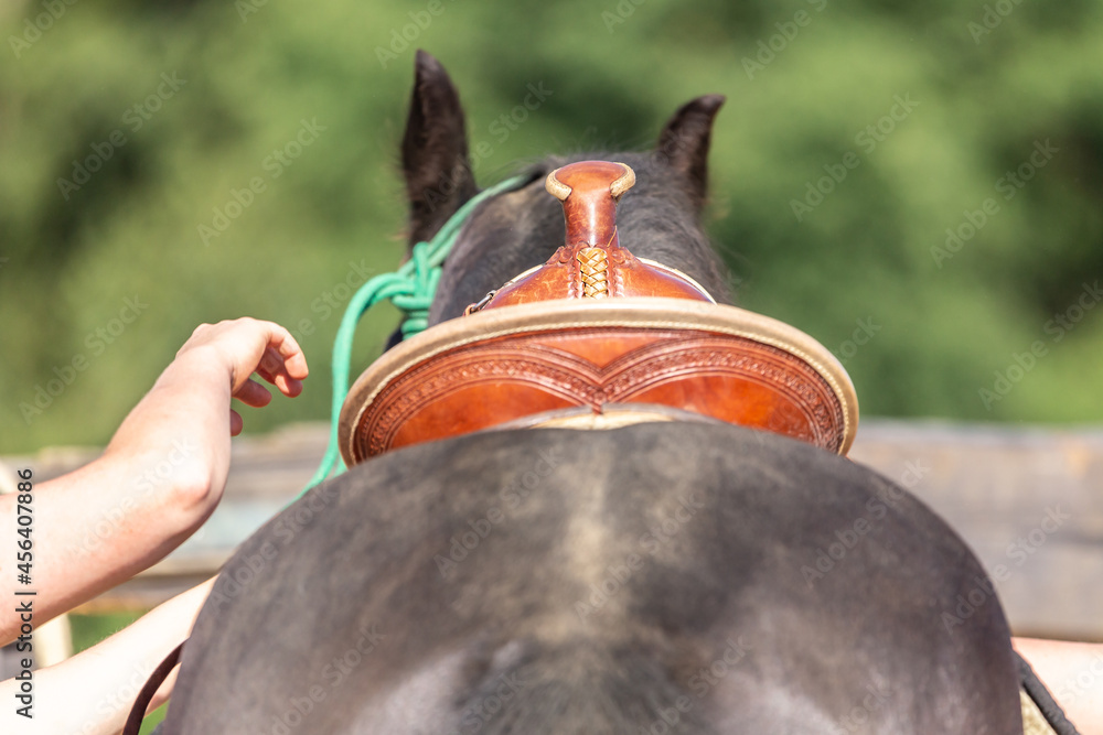 Saddle up a horse A western saddle on a black horse Stock Photo