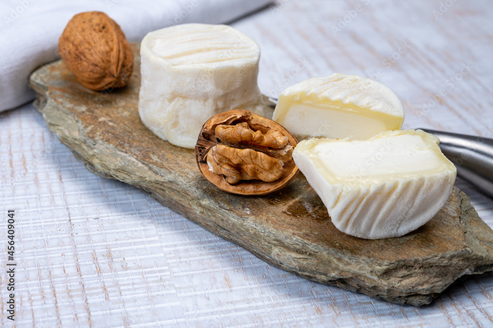 Fototapeta premium Cheese collection, soft goat French cheese with mold crottin de Chavignol produced in Loire Valley