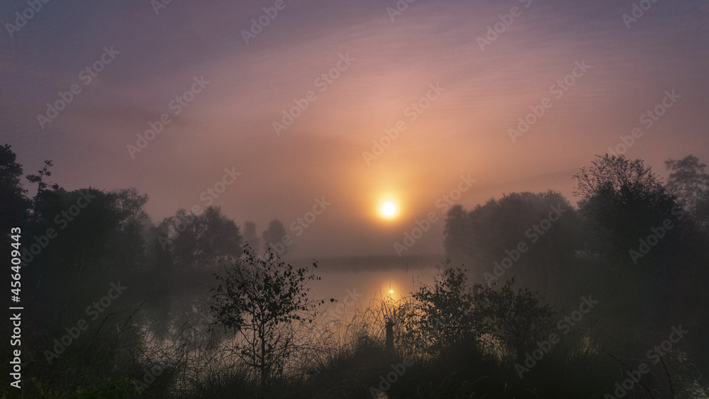 Fototapeta premium Pietzmoor im Nebel