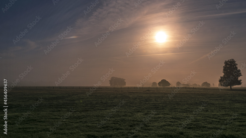 Naklejka premium Pietzmoor im Nebel