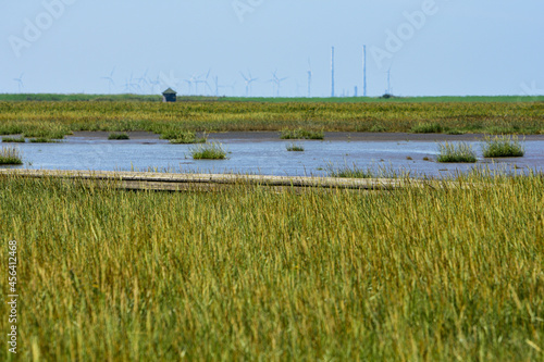 Weg im Wattenmeer