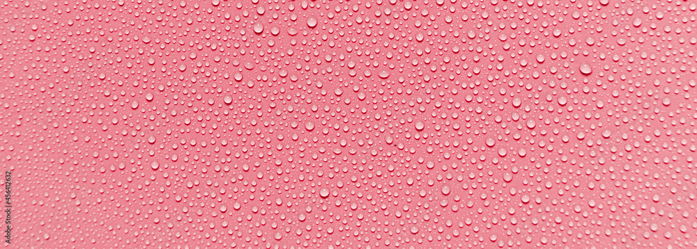 Fototapeta premium pink water drops
