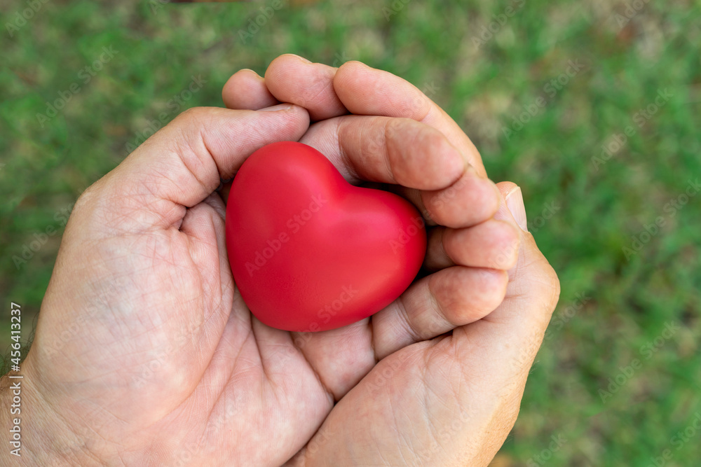 hands holding red heart, blurred background hands holding red heart, blurred background