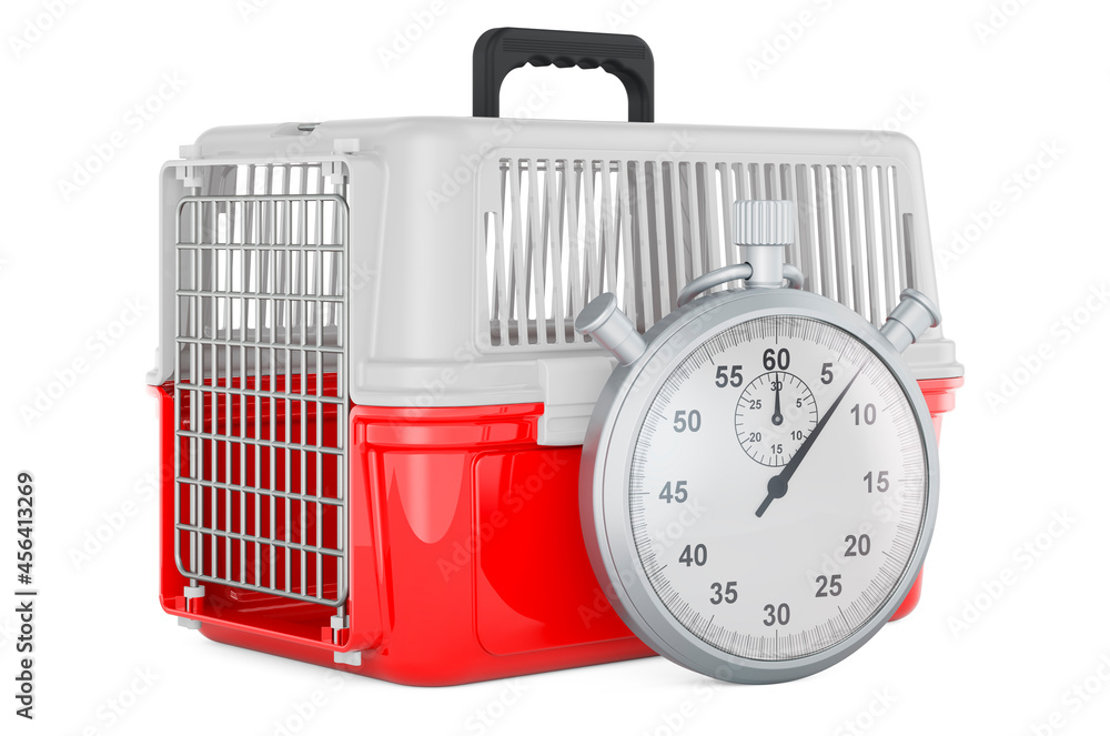 Stopwatch with pet travel plastic cage, 3D rendering