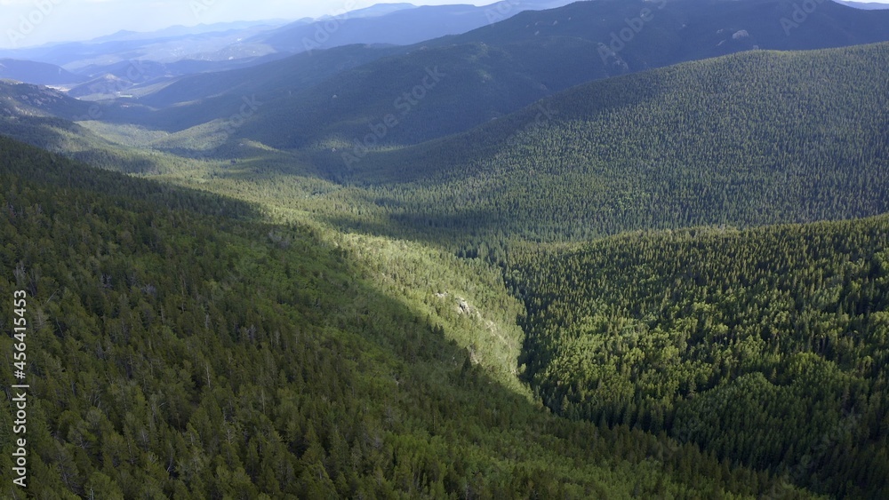 Aerial view over forest of conifer trees in a valley near Juniper Point in the Colorado Rocky Mountains, captured by a drone in 4K resolution.