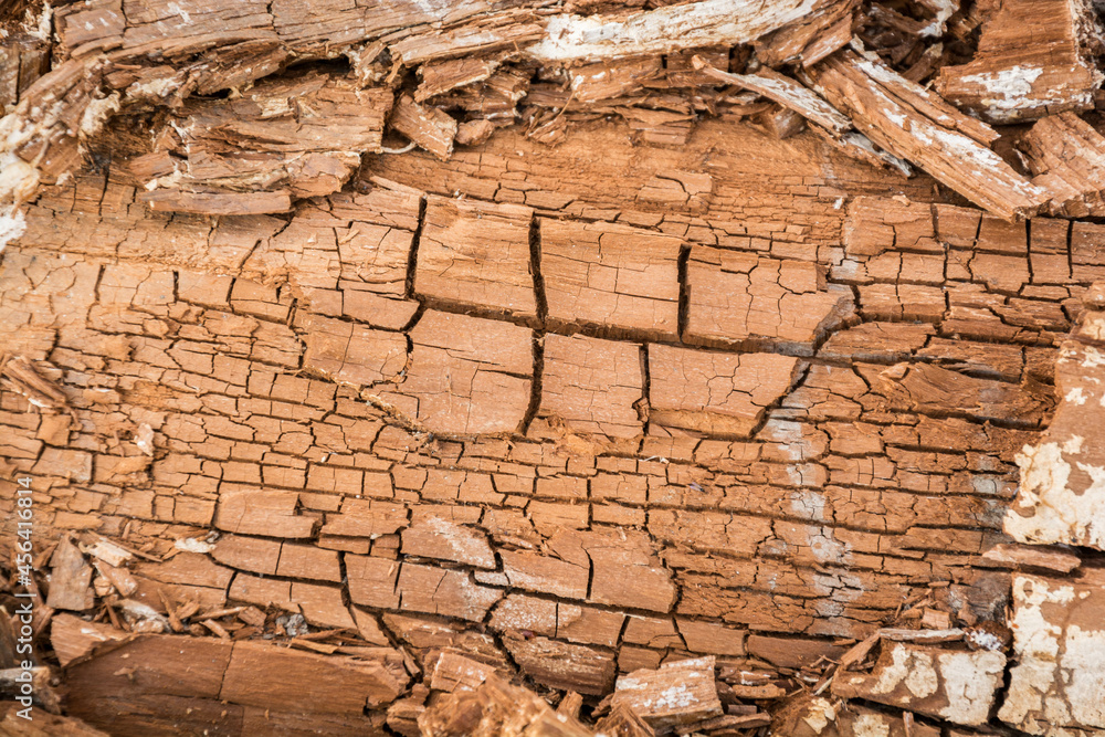 Fototapeta premium superfice in legno invecchiato per sfondi