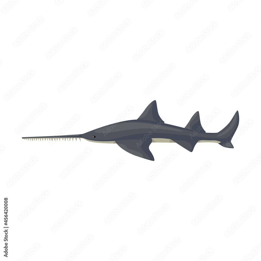 Saw - shark isolated on white background. Cartoon character of ocean for children. Saw - shark isolated on white background. Cartoon character of ocean for children.